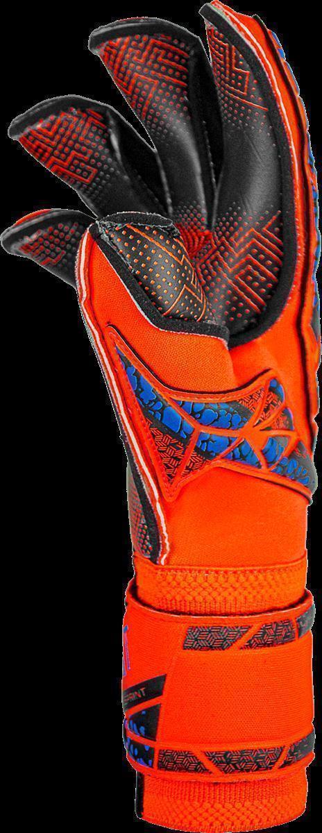 REUSCH ATTRAKT GOLD X EVOLUTION GLUEPRINT HYPER ORANGE/ELECTRIC BLUE/BLACK