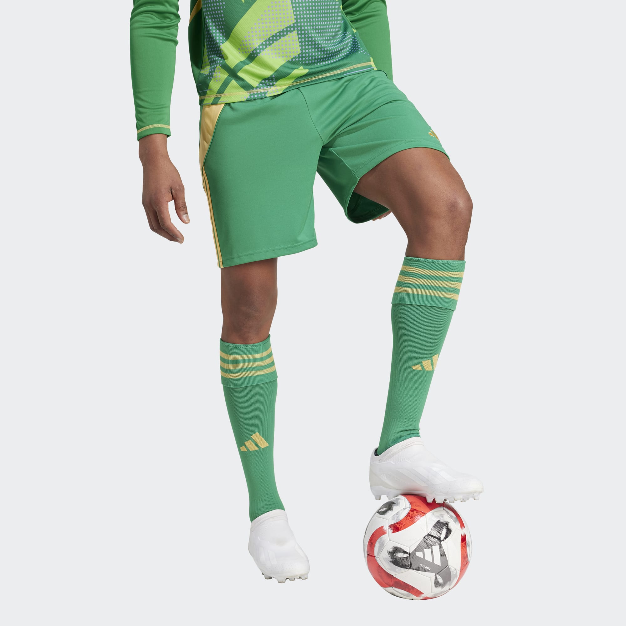 ADIDAS TIRO24 COMPETITION GK SHORT TEAM GREEN