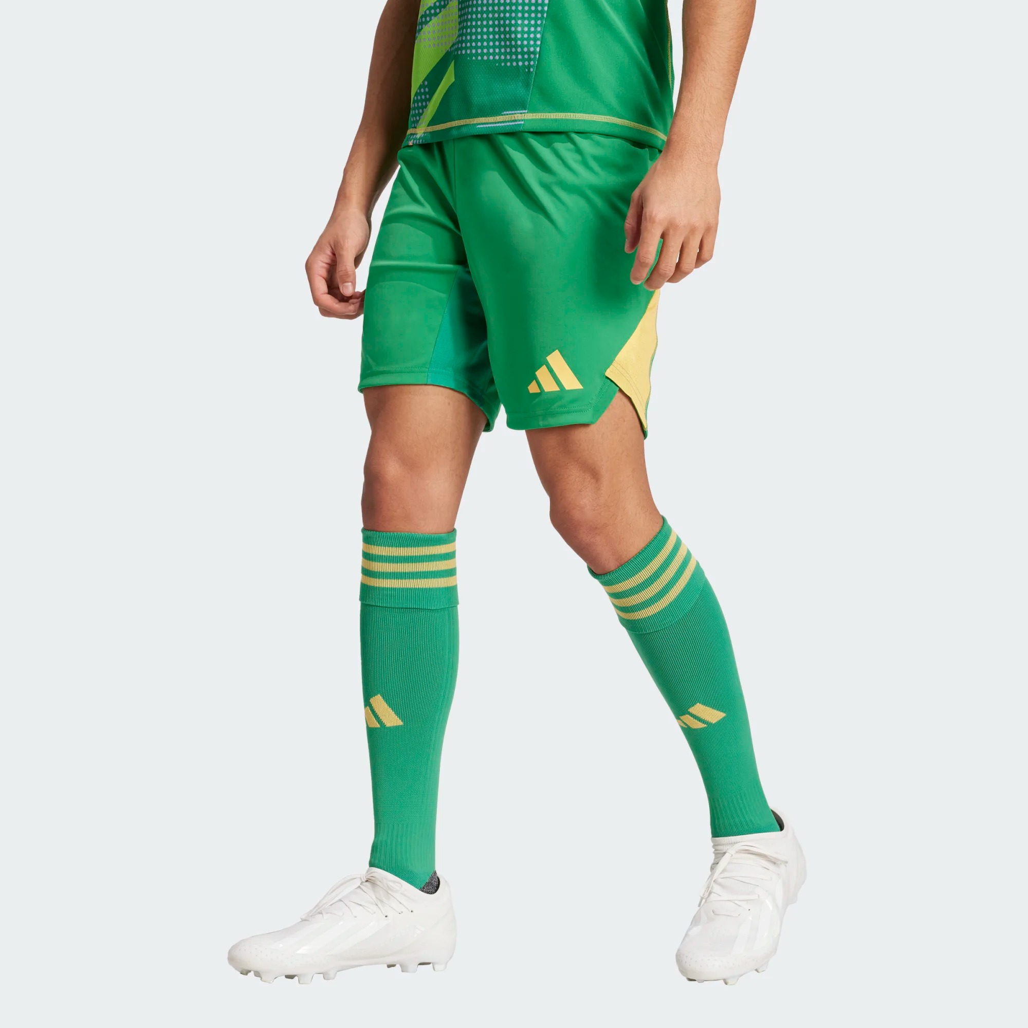 ADIDAS TIRO24 PRO GK SHORT TEAM GREEN