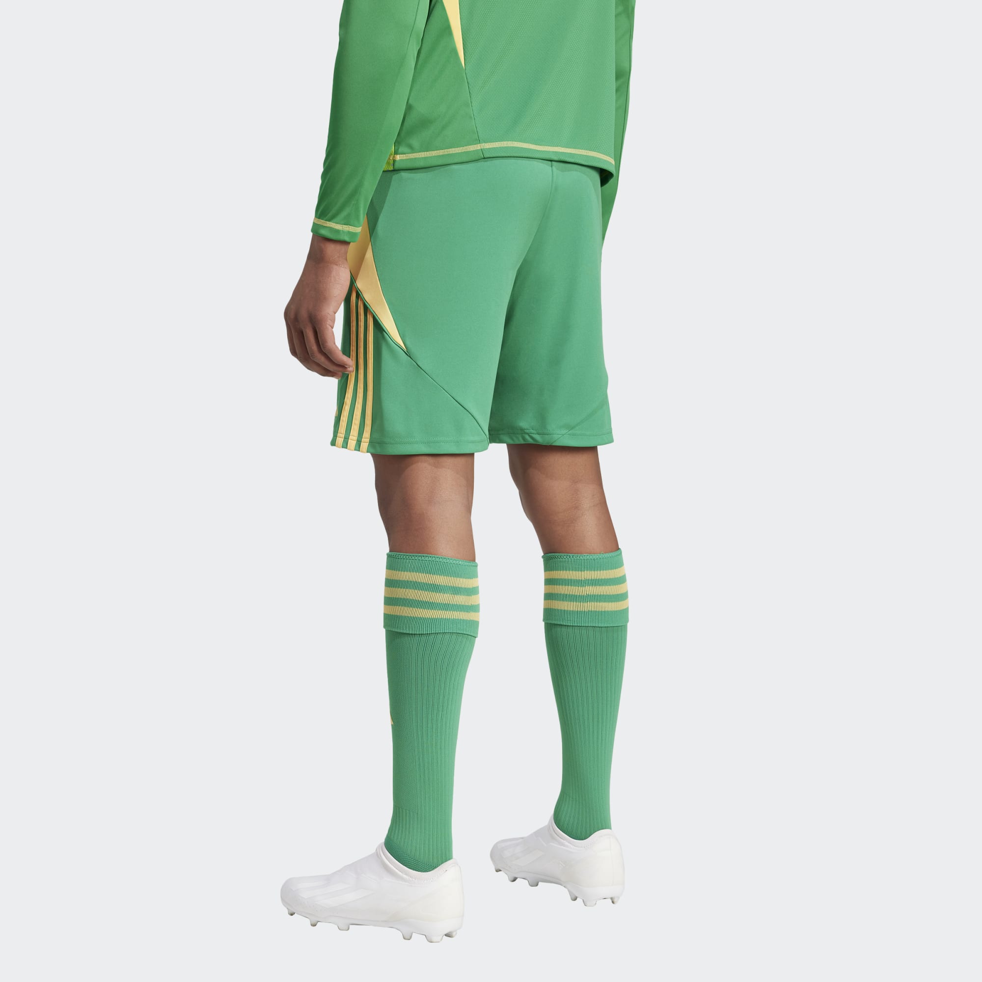 ADIDAS TIRO24 COMPETITION GK SHORT TEAM GREEN